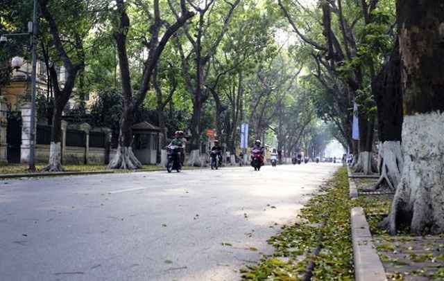Dự báo thời tiết ngày 23/1/2021: Miền Bắc rét về đêm và sáng, ngày hửng nắng