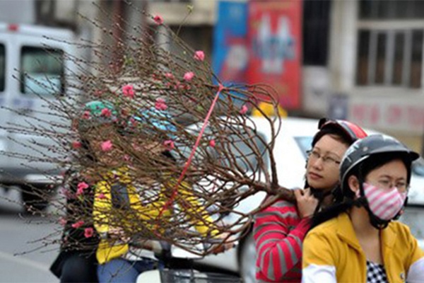 Dự báo thời tiết ngày 6/2/2021: Miền Bắc nắng ấm