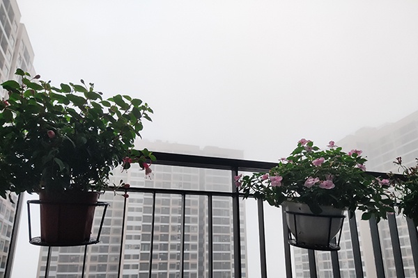 Dự báo thời tiết ngày 1/3/2021: Miền Bắc mưa phùn kèm sương mù, trời rét