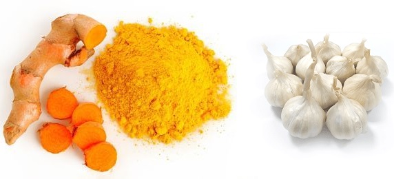 Thực phẩm lọc sạch độc tố trong gan giúp mát gan tiêu độc