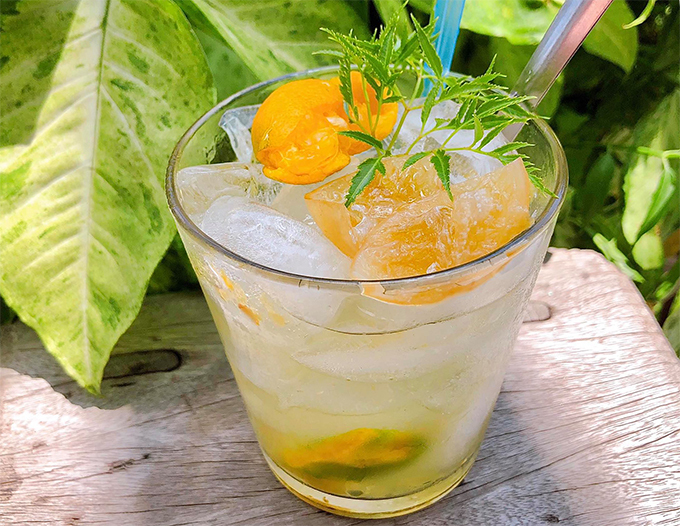 160157464-731141104213753-7952-2104-4607-1615724738