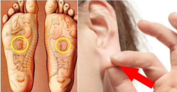 Cách chăm sóc thận đơn giản mà ai cũng làm được