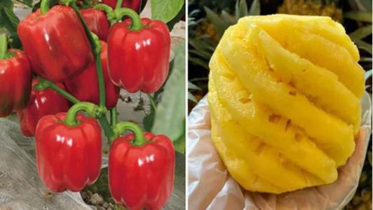 Thực phẩm càng ăn càng giảm cân