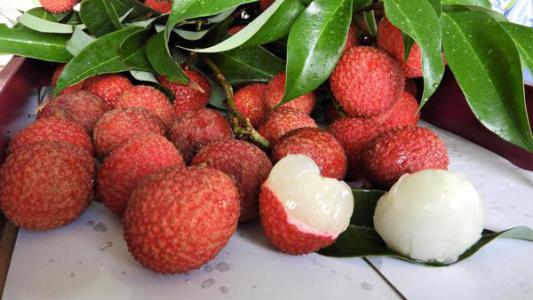 Ăn vải cho đúng cách để chữa được nhiều bệnh