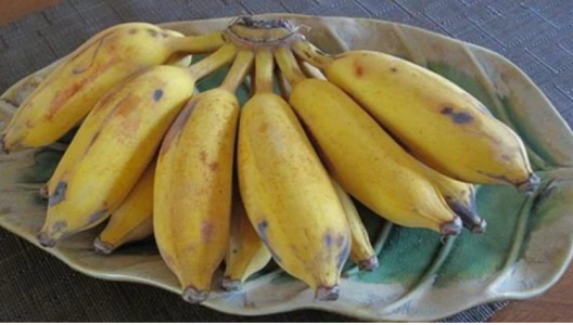 Cơ thể bạn sẽ xảy ra điều gì nếu thường xuyên ăn 1 quả chuối trước khi đi ngủ?