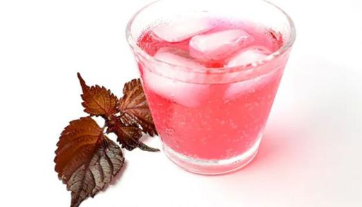 Công dụng đã được kiểm nghiêm: Một nắm lá tía tô giúp phòng chống virus SARS-CoV-2