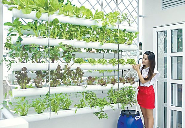 10 cách tận dụng để khiến bận rộn hơn trong thời gian giãn cách xã hội