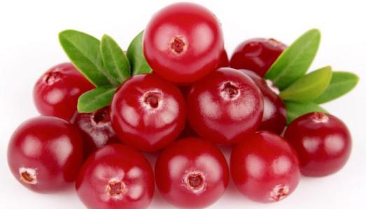 Thực phẩm có vị đắng rất tốt cho sức khỏe, khiến hệ tiêu hóa hoạt động trơn tru