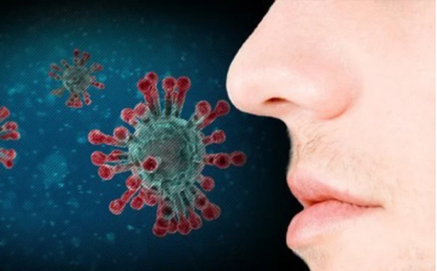 Cải thiện vị giác và khứu giác sau khi mắc Covid -19