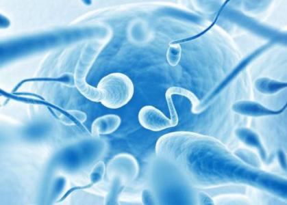 Quý ông bị hao hụt 