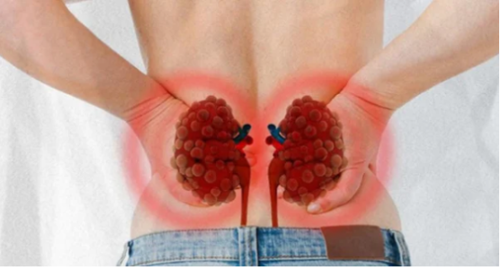 Biểu hiện vào ban đêm chứng tỏ thận của bạn rất khỏe mạnh, giải độc tốt