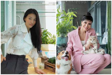 Thời trang công sở của sao Việt