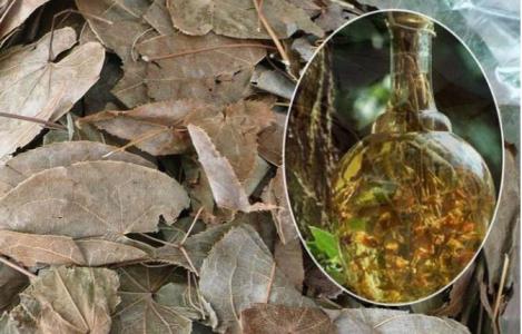 Bí quyết hỗ trợ tăng cường sinh lực cho phái mạnh – Dâm dương hoắc