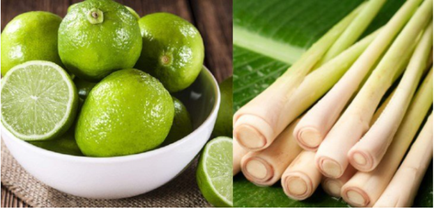 Nước uống giảm cân vị thanh mát, giúp bạn lấy lại vóc dáng