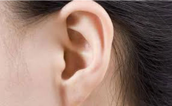 Bộ phận trên cơ thể phụ nữ càng to thì tuổi thọ càng cao