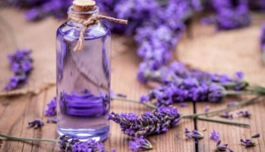 Loại tinh dầu tự nhiên dễ kiếm có thể đánh bay nếp nhăn, đẩy lùi lão hóa