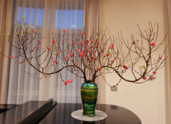 Đặt cây cảnh ngày Tết ở đâu để năm mới không mất lộc