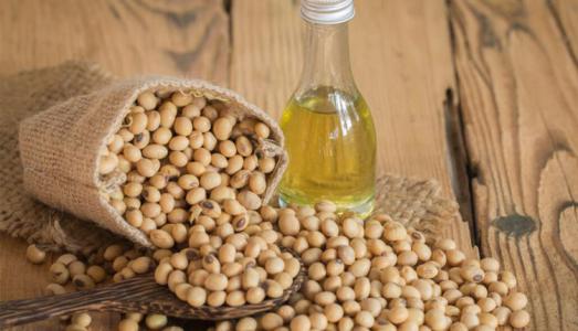 Ngày Tết ăn uống bị đầy bụng, dùng ngay những nguyên liệu sẵn có