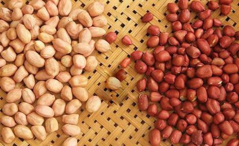 Món ăn vào buổi sáng giúp nuôi dưỡng nội tạng, giảm cân nhanh