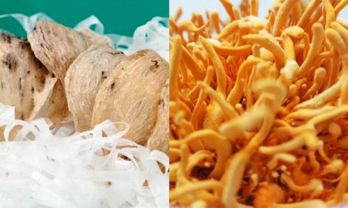 Những đối tượng nên và không nên sử dụng yến sau khi khỏi F0