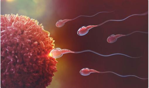 COVID-19 có làm giảm khả năng sinh sản của nam giới?