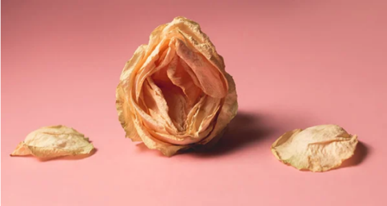 ‘Thủ phạm’ khiến vùng kín bị thâm đen