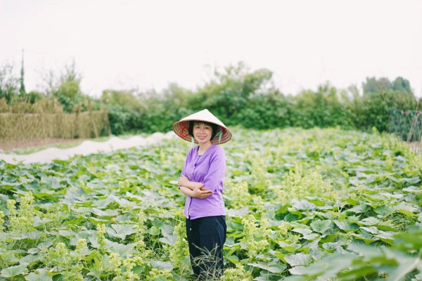 Đôi vợ chồng thạc sĩ và hoài bão làm nông nghiệp sạch