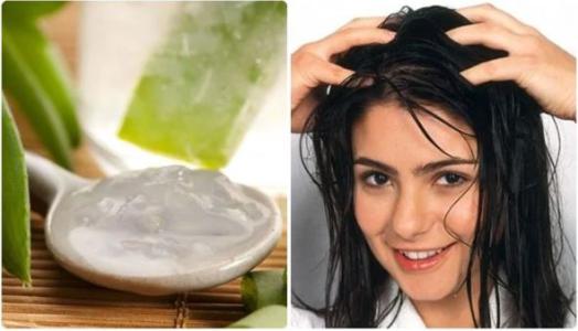 Công thức trị gàu đơn giản bằng nguyên liệu rẻ bèo mà hiệu quả cao