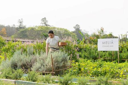 Meliá Hotels International đạt nhiều thành tích trong chiến lược phát triển bền vững