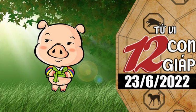 Tử vi 12 con giáp ngày 23/6/2022: Tuổi Hợi thời vận chưa ổn định