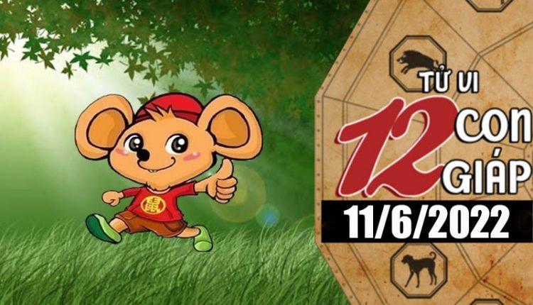 Tử vi 12 con giáp ngày 11/6/2022: Tuổi Tý tài chính nhiều bất lợi