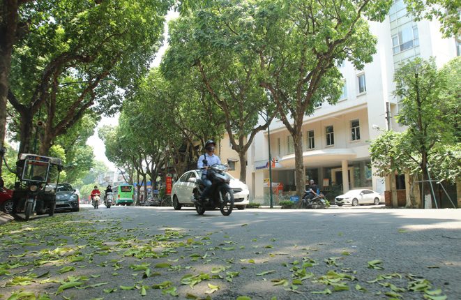 Dự báo thời tiết ngày 18/9/2022: Cả nước có nắng, từ Nam Trung Bộ trở vào mưa chiều tối