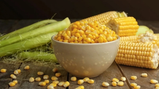 Loại ngũ cốc giàu chất dinh dưỡng, giúp con người sống trường thọ