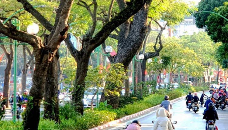 Dự báo thời tiết ngày 14/10/2022: Miền Trung mưa xối xả, nguy cơ lũ quét rất lớn