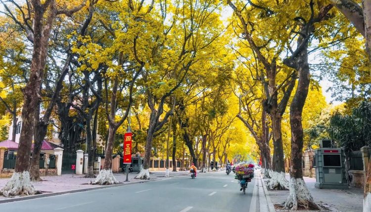 Dự báo thời tiết ngày 17/10/2022: Miền Bắc nắng hanh, se lạnh, Trung Bộ hết mưa