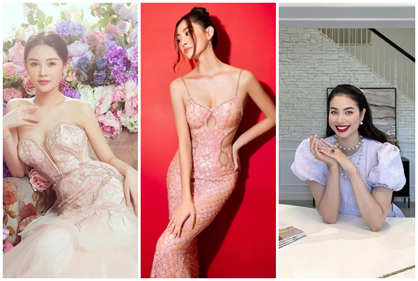 Các nàng hậu là giảng viên đại học, cao đẳng