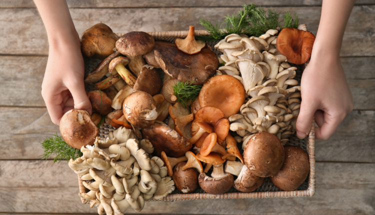 Loại rau củ càng nấu chín kỹ càng tốt cho sức khỏe, dinh dưỡng