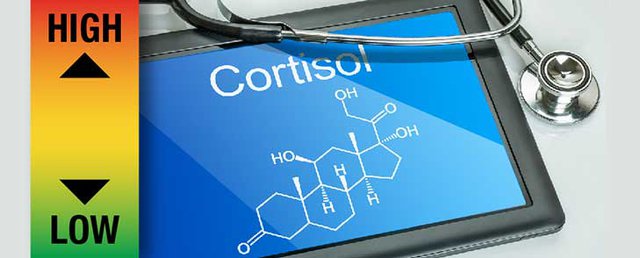 Hormone chính ảnh hưởng đến ham muốn tình dục của bạn