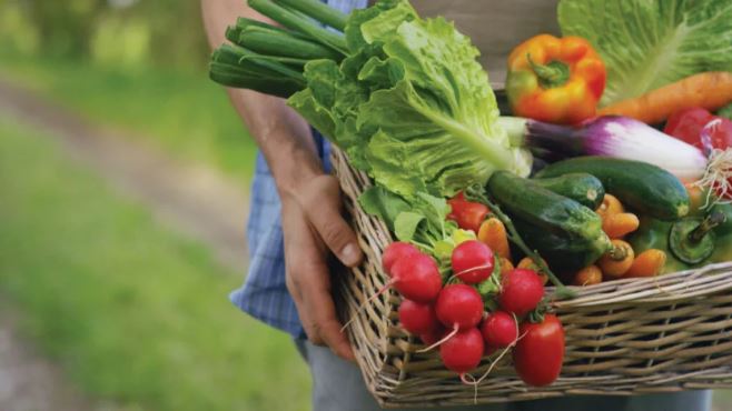 Thực phẩm nên có trong mùa đông giúp cải thiện hệ tiêu hóa