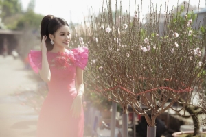  Á hậu Hương Ly chọn cho mình những trang phục áo dài khi du xuân đất Bắc