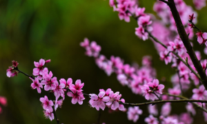 Thời tiết hôm nay ngày 30/1/2023: Bắc Bộ tăng nhiệt dần lên