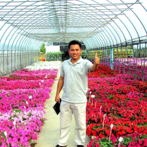 Hạt Giống Phượng Hoàng: Địa chỉ mua hạt giống hoa giá sỉ uy tín