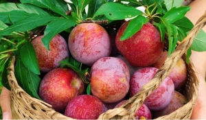 Loại trái cây có thể khiến bệnh dạ dày ngày một nặng thêm