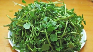 Loại rau lá chuyên gia dinh dưỡng khuyên nên ăn hàng ngày