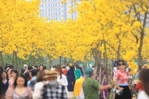 Dự báo thời tiết ngày 7/3/2023: Bắc Bộ bao phủ sương mù, đêm rét