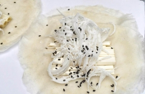 Thực đơn hàng ngày: Bò bìa