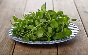 Loại thực phẩm mà phụ nữ dưới 40 tuổi nên ăn để có một làn da giàu collagen