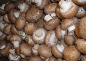 Loại “rau” đắt hơn thịt lợn vì lợi ích sức khỏe như 