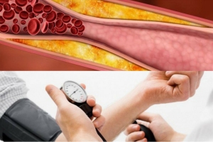 Bộ phận trên cơ thể càng mềm thì càng sống lâu