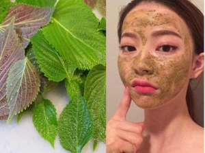 Công thức làm đẹp bằng lá tía tô giúp cải thiện da bị mụn